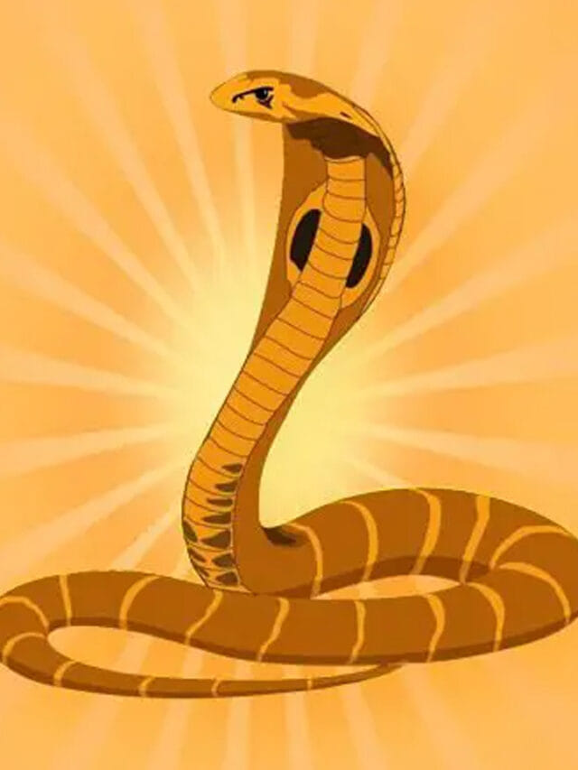 పాము తోకతో సమస్యల్లో పడే వారు వీరే.. జాగ్రత్త పడకపోతే నష్టమే