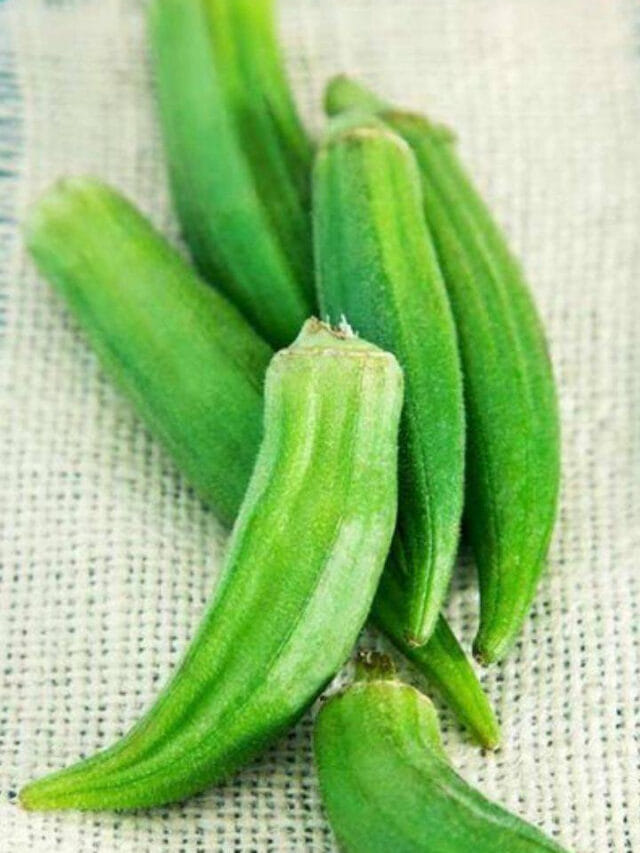 చలికాలంలో బెండకాయ తినవచ్చా?