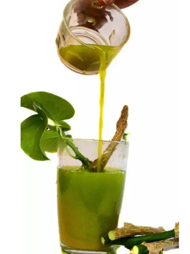 ఆరోగ్యానికి వరం తిప్ప తీగ రసం.. రోజూ తాగితే ఎంత మంచిదో..