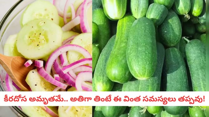 దోసకాయ అమృతమే.. కానీ అతిగా తింటే ఈ వింత సమస్యలు తప్పవు!