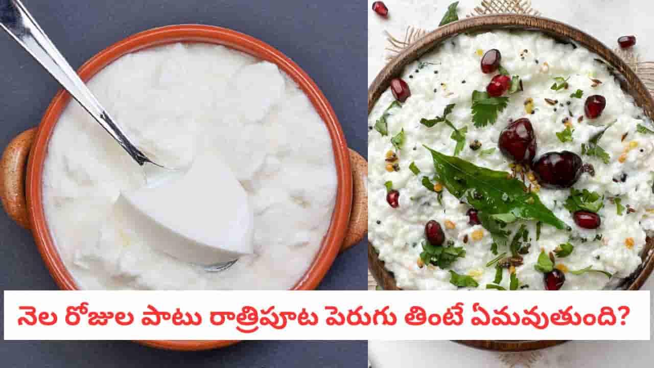 Curd: రాత్రిపూట పెరుగు తింటున్నారా?.. ఈ రహస్య ప్రయోజనం గురించి మీకు తెలుసా?