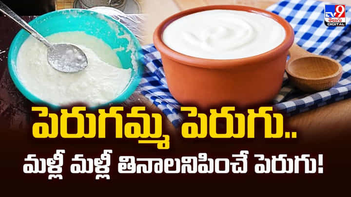 పెరుగమ్మ పెరుగు.. మళ్లీ మళ్లీ తినాలనిపించే పెరుగు పెరుగమ్మ పెరుగు.. మళ్లీ మళ్లీ తినాలనిపించే పెరుగు