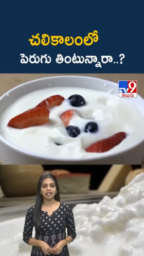 Winter: చలికాలంలో పెరుగు తింటున్నారా..? మస్ట్‌గా తెలుసుకోండి