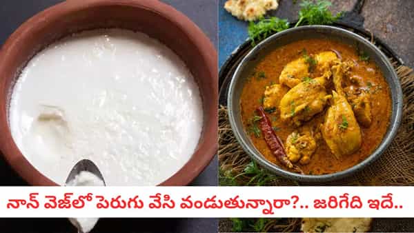 Curd In Non Veg: నాన్ వెజ్లో పెరుగు వేసి వండుతున్నారా?.. జరిగేది ఇదే..