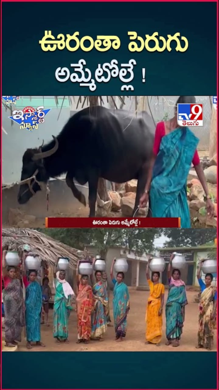 సాధికారిత లక్ష్యం.. ఆ గ్రామంలో అందరూ పెరుగు అమ్మేవారే..!