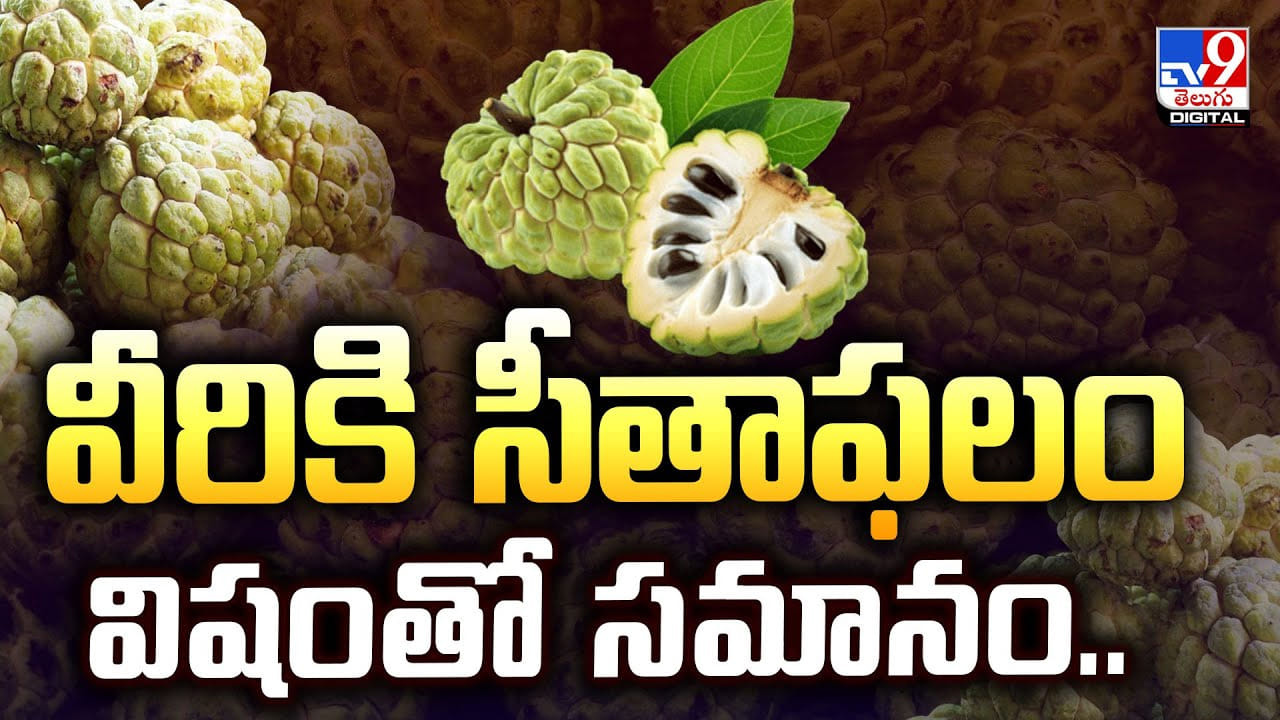 వీరికి సీతాఫలం విషంతో సమానం.. హెచ్చరిస్తున్న వైద్యులు