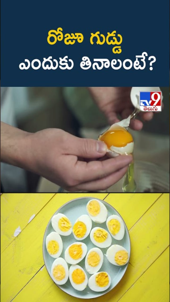 Daily Egg: మహిళలు రోజూ గుడ్డు తింటే.. ఏం జరుగుతుంది..?