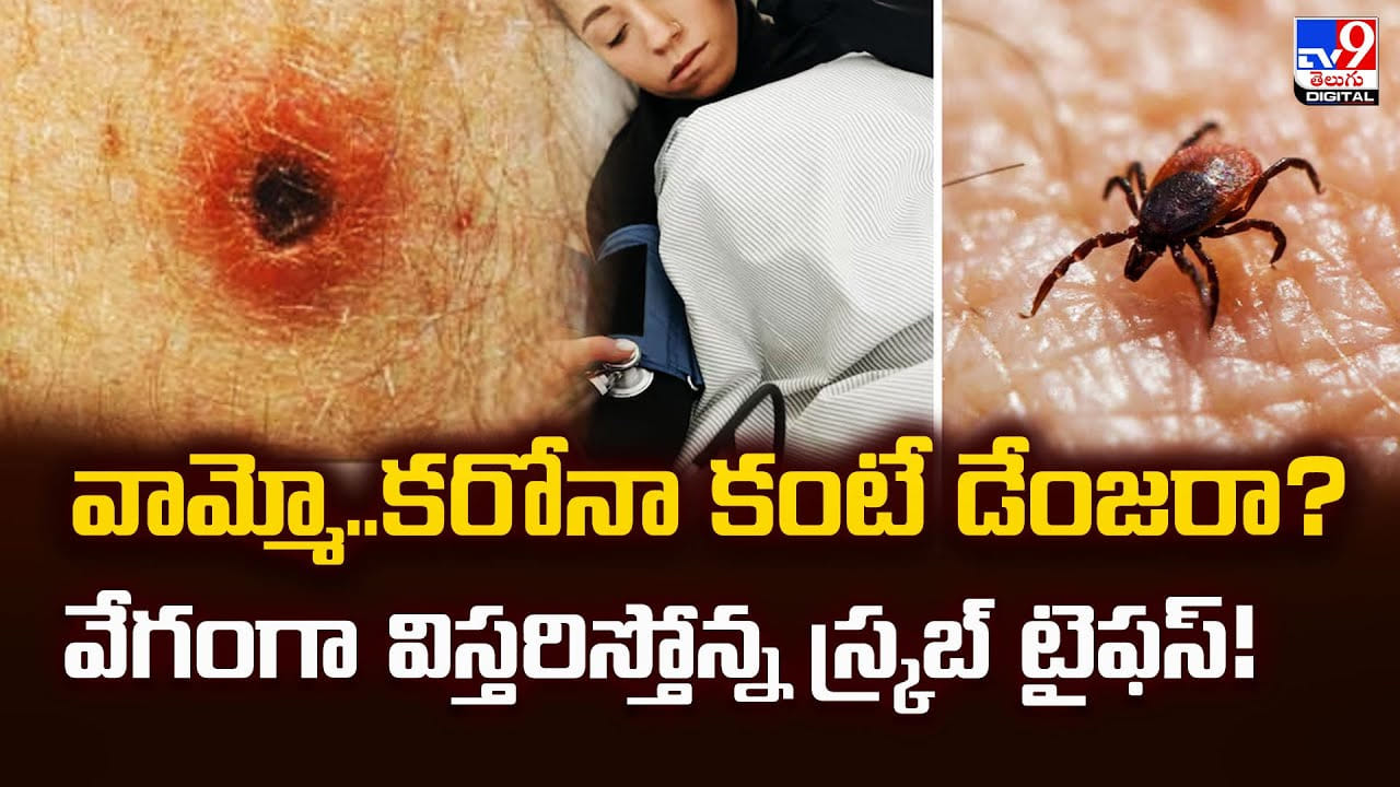 వామ్మో.. కరోనా కంటే డేంజరా ?? వేగంగా విస్తరిస్తోన్న స్క్రబ్ టైఫస్!