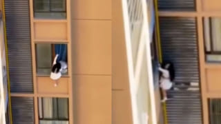 Viral Video: టికెట్‌ లేకుండా.. విమానంలో దూరిన పావురం… టేకాఫ్‌కు ముందు ఇండిగోలో గందరగోళం