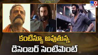 పక్కా ప్లానింగ్ తో ఉన్న భాగ్యశ్రీ, రుక్మిణి.. 2026 మాదే అంటున్న ముద్దుగుమ్మలు