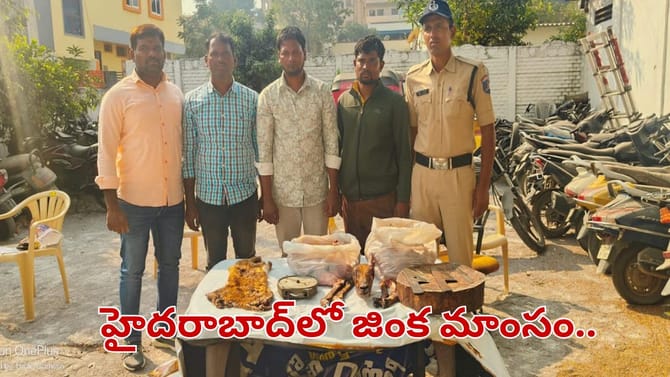 హైదరాబాద్‌లో జింక మాంసం కలకలం.. పోలీసుల దాడుల్లో విస్తుపోయే..