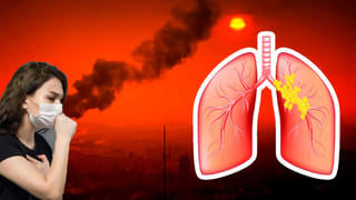 World AIDS Day: ఇది కదా మార్పంటే.. భారీగా తగ్గిన “ఆ” మరణాలు.. ఆరోగ్యశాఖ ప్రకటనలో..