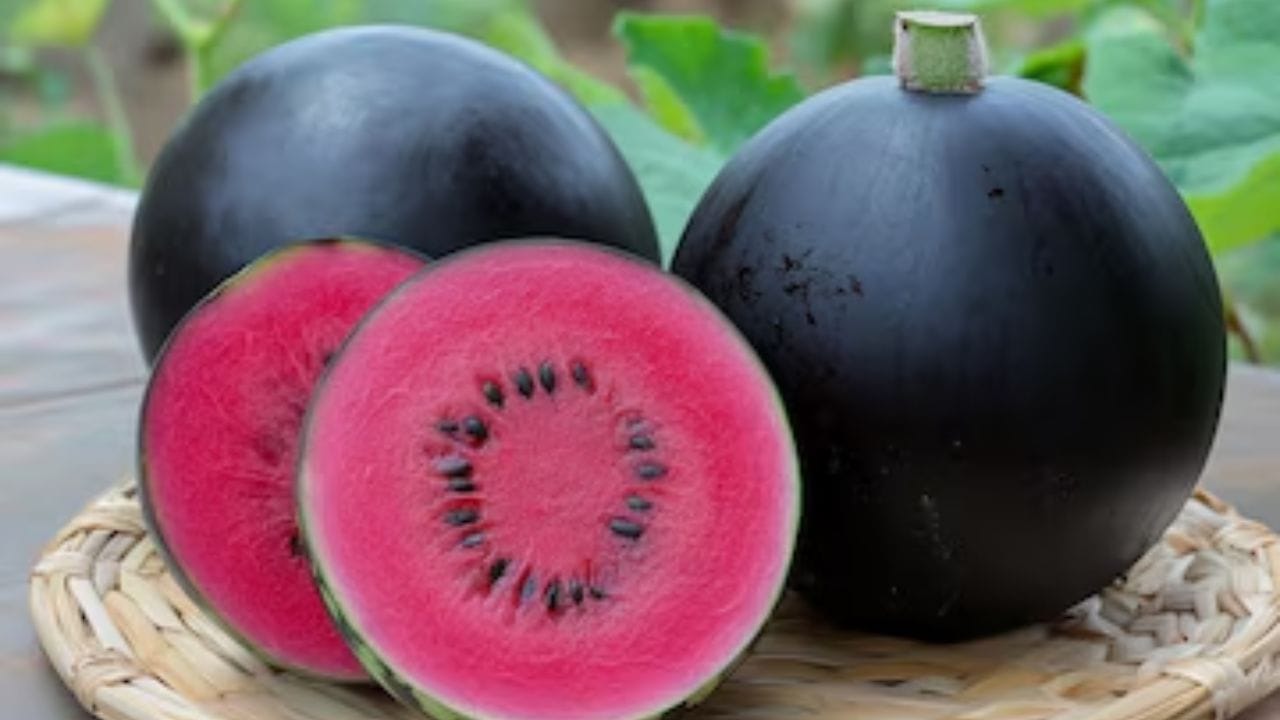 డెన్సుకే పుచ్చకాయ: ఇది కూడా జపాన్‌లో దొరికే ప్రపంలో అత్యంత ఖరీదైన పండ్డలో ఒకటి. ఈ అరుదైన నల్లటి చర్మం గల పుచ్చకాయ ధర దాదాపు $6,000( 5లక్షల 40వేల) వరకు ఉంటుంది. ఇవి వాటి రుచి, సువాసనకు ప్రత్యేకత కలిగినవి.    హొక్కైడోలో ప్రాంతంలో పండే ఈ పండు.. ప్రతి ఏటా కేవలం 100 నుండి 150 మాత్రమే ఉత్పత్తి అవుతాయి. అందుకనే వీటికి ఇంత డిమాండ్ ఉంటుంది. 