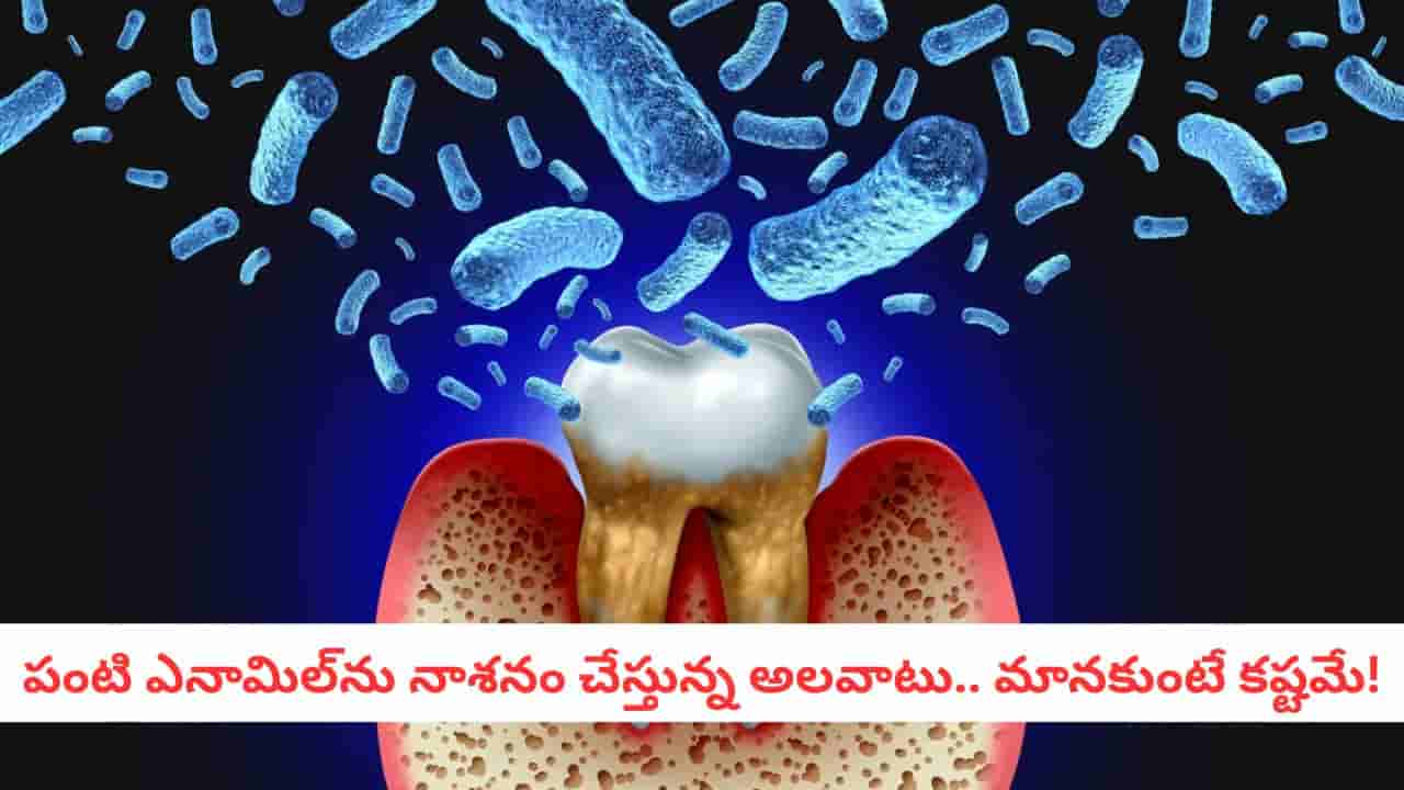 Dental Health: పళ్లు తోముతున్నా పురుగులు పడుతున్నాయా? డాక్టర్ చెప్పిన ఈ నిజం మీకు షాకిస్తుంది!