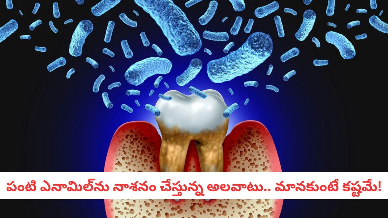 Dental Health: పళ్లు తోముతున్నా పురుగులు పడుతున్నాయా? డాక్టర్ చెప్పిన ఈ నిజం మీకు షాకిస్తుంది!