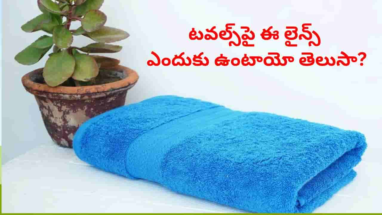 Bath towels: బాత్ టవల్స్ పై ఈ ప్రత్యేక గీతలు ఎందుకు ఉంటాయో మీకు తెలుసా?