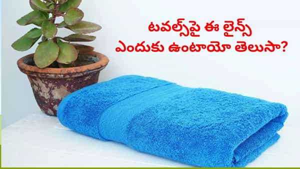 Bath towels: బాత్ టవల్స్ పై ఈ ప్రత్యేక గీతలు ఎందుకు ఉంటాయో మీకు తెలుసా?