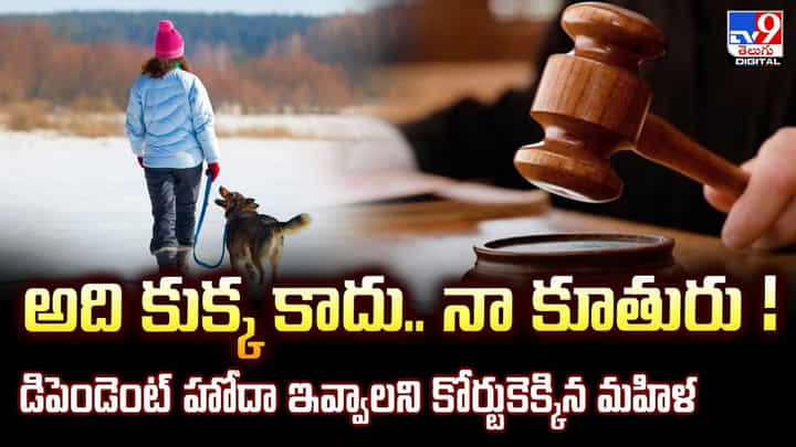 అది కుక్క కాదు.. నా కూతురు ! డిపెండెంట్ హోదా ఇవ్వాలని కోర్టుకెక్కిన మహిళ అది కుక్క కాదు.. నా కూతురు ! డిపెండెంట్ హోదా ఇవ్వాలని కోర్టుకెక్కిన మహిళ