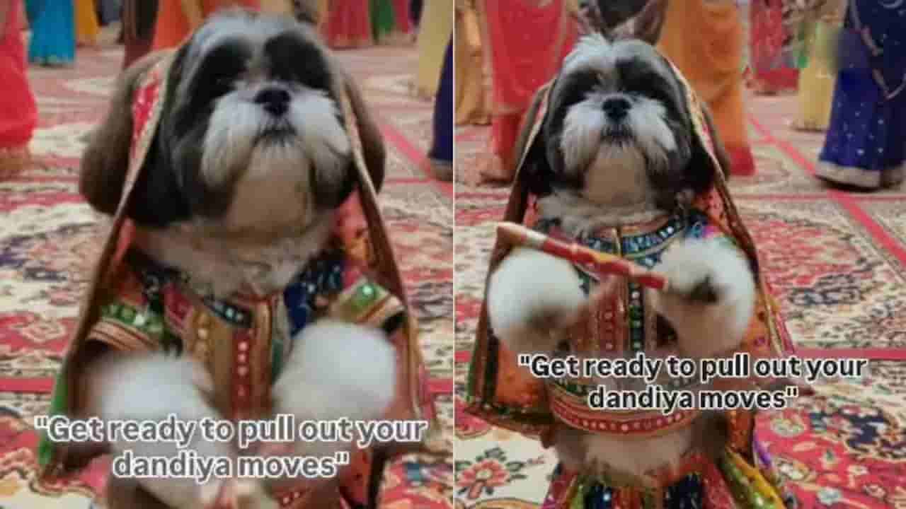 Viral Video: లెహంగా-చున్నీ ధరించి గర్బా డాన్స్.. కుక్క దాండియా చూస్తే ఫిదా అవ్వాల్సిందే..!