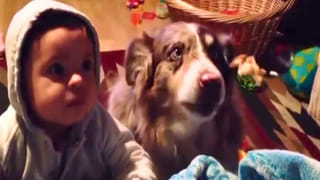 Viral Post: చెత్తలో దొరికిన 62 ఏళ్ల క్రితం నాటి తండ్రి పాస్‌బుక్.. రాత్రికి రాత్రే కోట్లు సంపాదించిన కొడుకు..