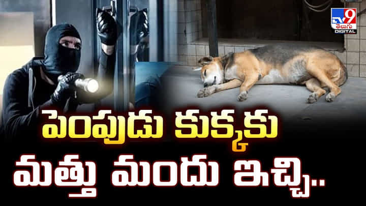 పెంపుడు కుక్కకు మత్తు మందు ఇచ్చి మరీ.. ఆలా.. ఎలా చేశారురా.. పెంపుడు కుక్కకు మత్తు మందు ఇచ్చి మరీ.. ఆలా.. ఎలా చేశారురా..