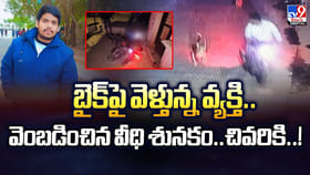 బైక్‌పై వెళ్తున్న వ్యక్తి.. వెంబడించిన వీధి శునకం.. చివరికి..!
