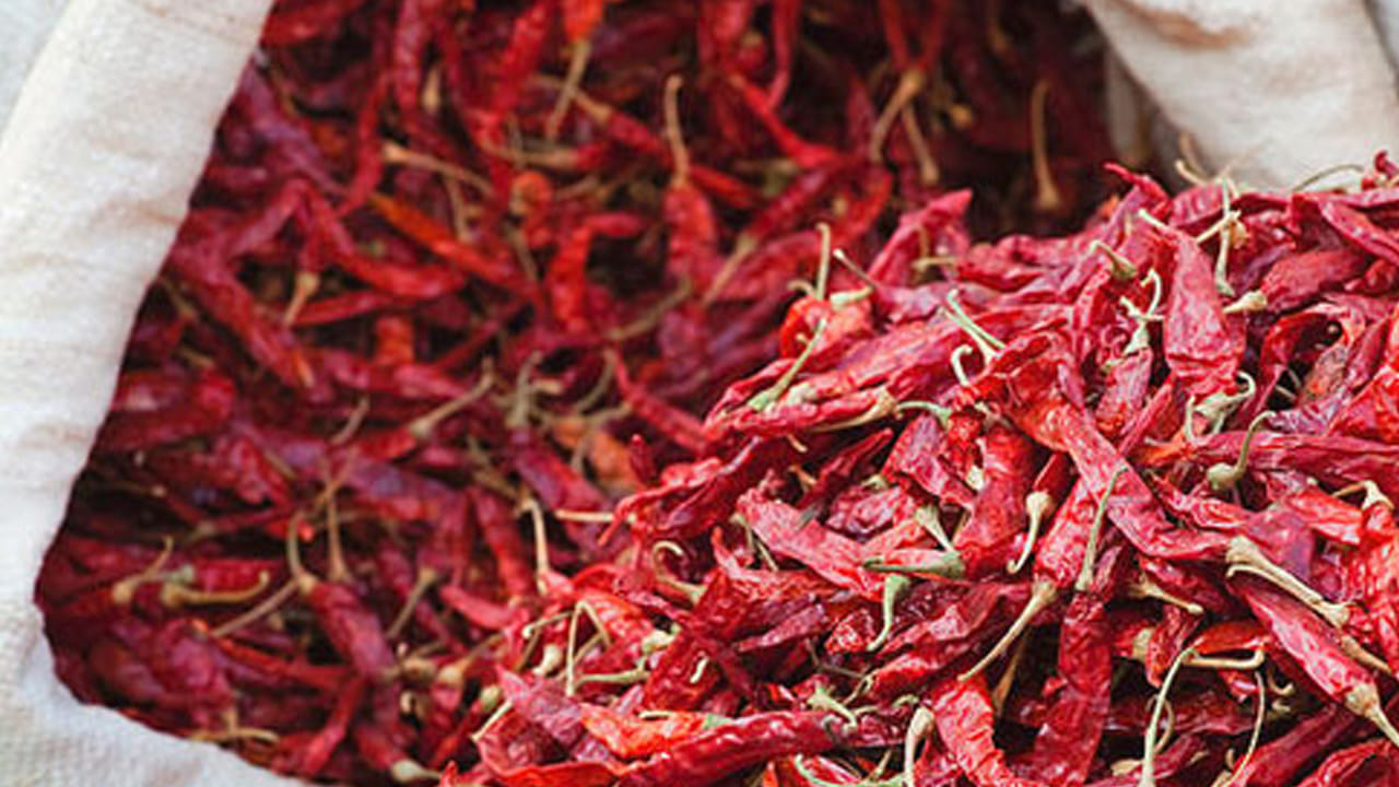 ఎండు మిర్చి తినడం వల్ల శరీరంలో రోగ నిరోధక శక్తి పెరుగుతుంది. దీంతో రోగాలతో పోరాడే శక్తి లభిస్తుంది. బరువు తగ్గాలి అనుకునేవారు కూడా ఎండు మిర్చి తినవచ్చు. ఎండు మిర్చి తింటే ఎంత గుట్టలాంటి పొట్టైనా కరుగుతుంది.