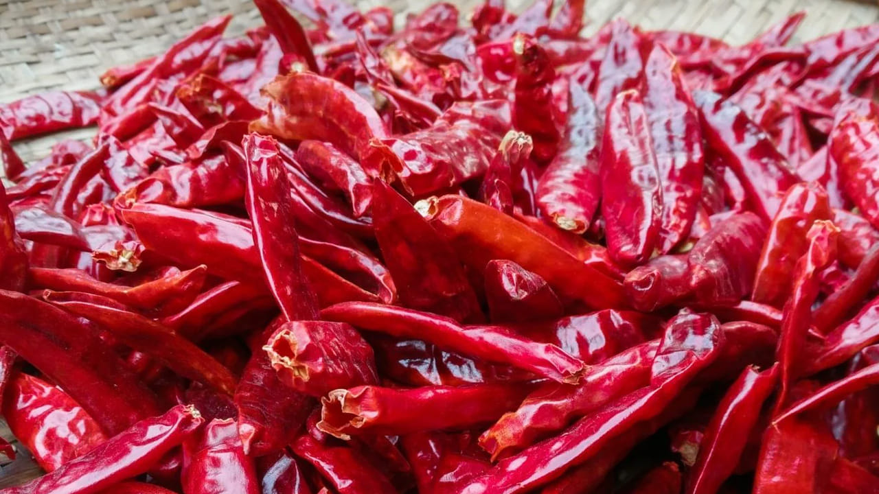 భారత దేశంలో అందులోనూ తెలుగు రాష్ట్రాల్లో కారం ఎక్కువగా తింటారు. కారాన్ని మితంగా తినడం వల్ల చాలా లాభాలు ఉన్నాయని ఆరోగ్య నిపుణులు చెబుతున్నారు. ఎండు మిర్చి తినడం వల్ల కూడా ఆరోగ్యానికి చాలా మంచిది. ఈ మిర్చి తినడం వల్ల చాలా రకాల వ్యాధుల్ని దూరం అవుతాయి.