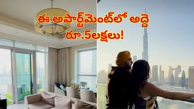 ఈ అపార్ట్‌మెంట్‌లో అద్దె రూ.5లక్షలు..! లోపల చూస్తే కళ్లు బైర్లే