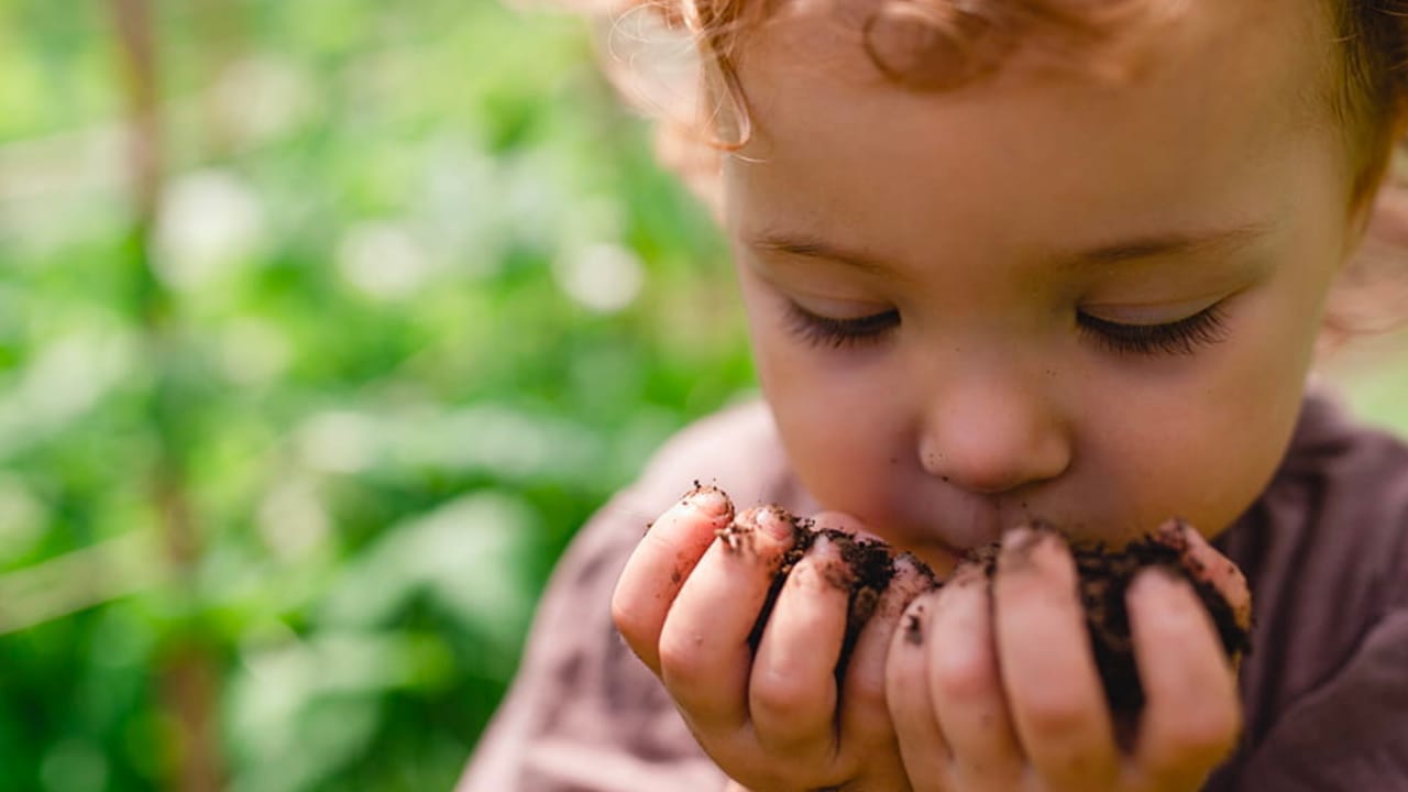 Kids Health: పిల్లలు మట్టి, బలపం, సుద్ద తింటున్నారా! అలా ఎందుకు చేస్తారో తెలుసా