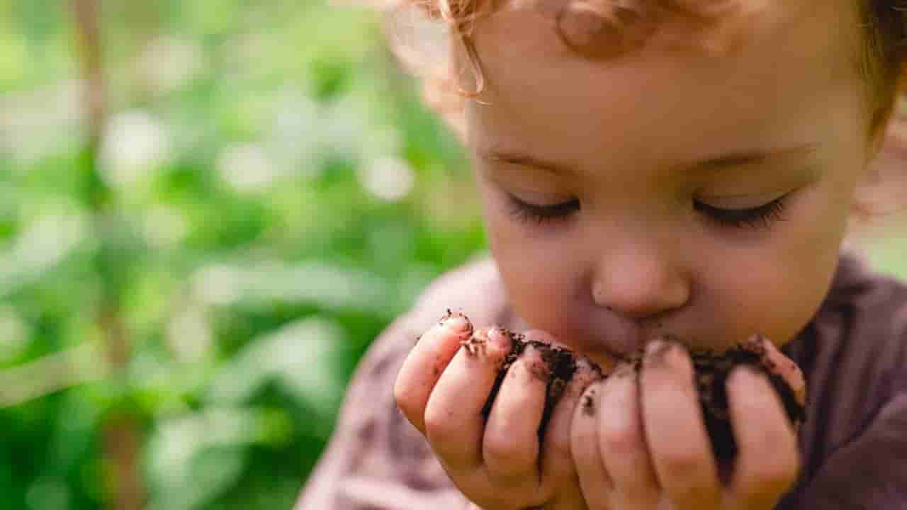 Kids Health: పిల్లలు మట్టి, బలపం, సుద్ద తింటున్నారా! అలా ఎందుకు చేస్తారో తెలుసా