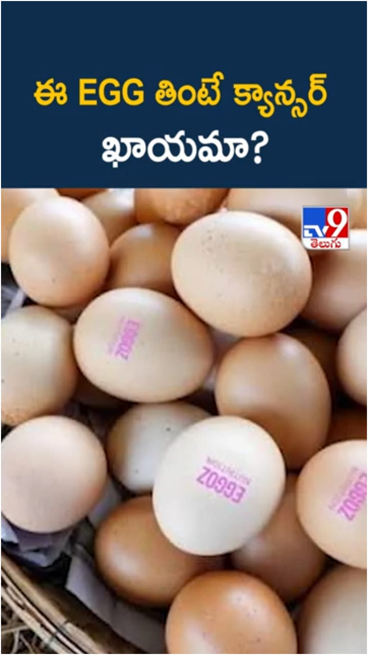 Cancer Risk: వామ్మో.. ఈ గుడ్డు తింటే క్యాన్సర్ ఖాయమా..?