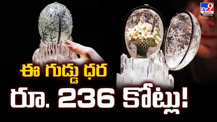 ఈ గుడ్డు ధర రూ. 236 కోట్లు.. అంతలా ఏముందిరా దీనిలో.. ఈ గుడ్డు ధర రూ. 236 కోట్లు.. అంతలా ఏముందిరా దీనిలో..