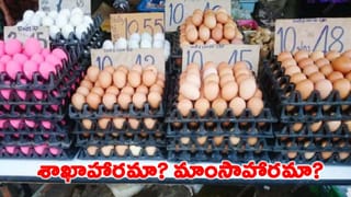 గుడ్లు శాఖాహారమా లేక మాంసాహారమా? అసలు రహస్యం ఇదే..!