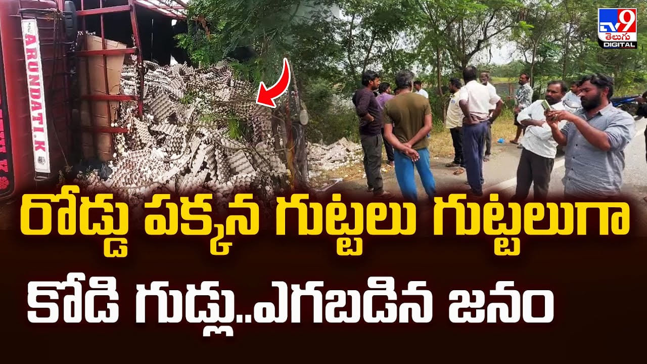 రోడ్డు పక్కన గుట్టలు గుట్టలుగా కోడి గుడ్లు.. ఎగబడిన జనం