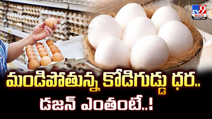 Egg Price: మండిపోతున్న కోడిగుడ్డు ధర.. డజన్ ఎంతంటే Egg Price: మండిపోతున్న కోడిగుడ్డు ధర.. డజన్ ఎంతంటే