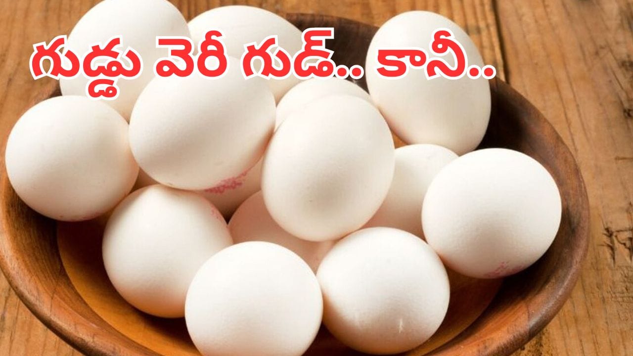 రోజుకు ఎన్ని గుడ్లు తినొచ్చు.. తప్పనిసరిగా తెలుసుకోండి..
