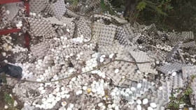 కోడిగుడ్ల వ్యాన్ బోల్తా.. పరుగులు తీసిన జనం..