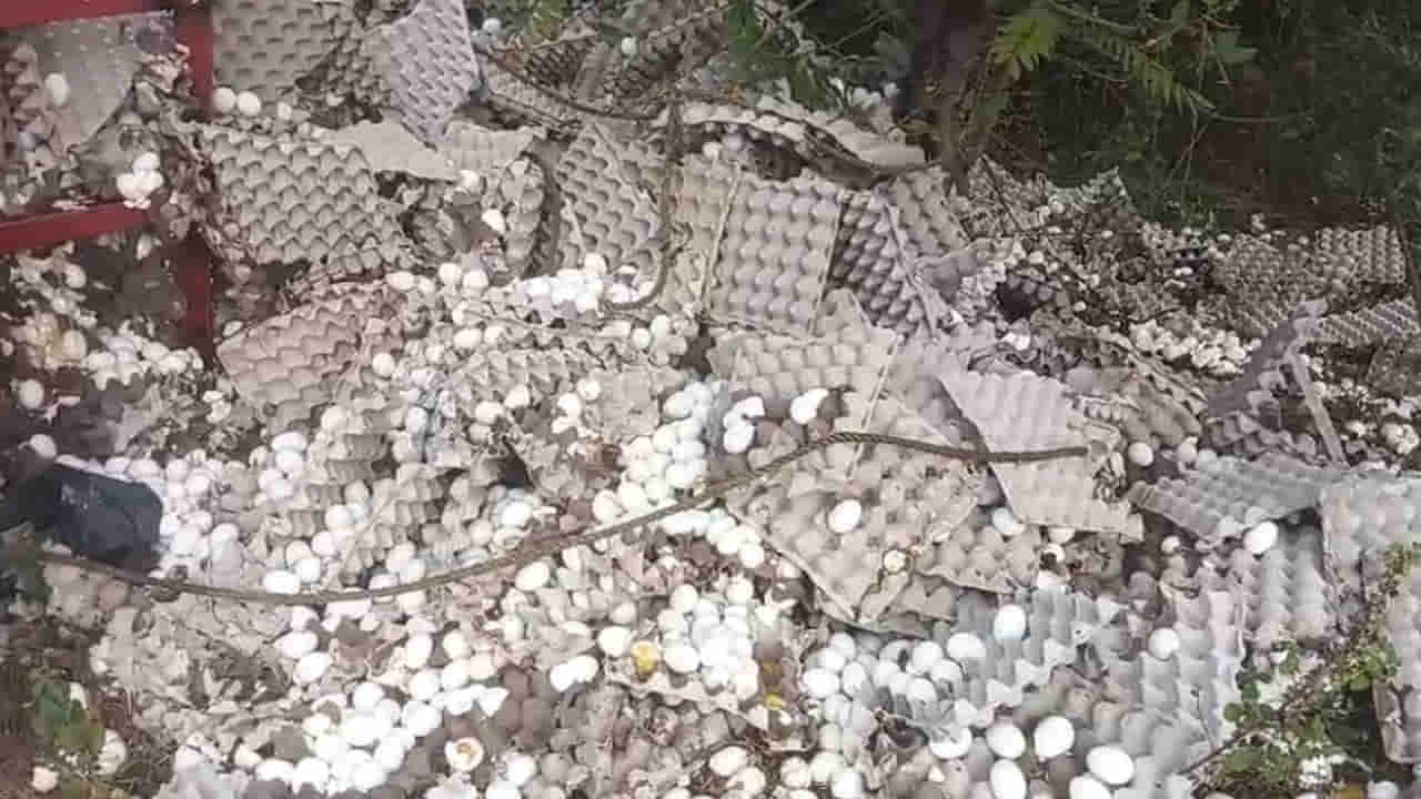 Watch Video: యాక్సిడెంట్ ఏమోగానీ.. గుడ్లు మాత్రం ఫ్రీ.. ఇంకెందుకు వదిలిపెడతారు చెప్పండి..