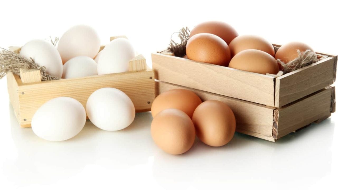 EGGS: గోధుమ రంగు, తెలుపు గుడ్లు.. వేటిలో ఏ పోషకాలు ఉంటాయి! తేడా ఉంటుందా?