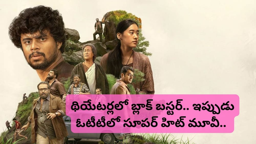 Cinema : రూ.5 కోట్లతో తీస్తే రూ.50 కోట్ల కలెక్షన్స్.. థియేటర్లలో తుఫాను సృష్టించిన సినిమా.. ఇప్పుడు ఓటీటీలోకి..