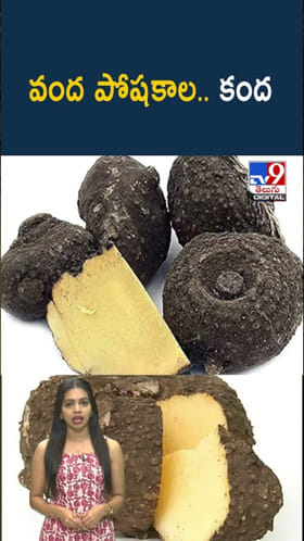 Elephant Yam: వంద పోషకాల కంద.. తింటే మీ శరీరంలో జరిగే అద్భుతం ఇదే..!