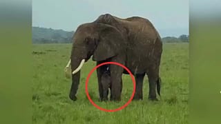 Viral: మగాళ్లకే కాదు మహిళలకు కూడా.. లేడీ వయాగ్రా వచ్చేసింది.. 10 నిమిషాల్లోనే.!