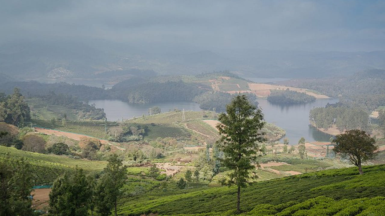 ఎమరాల్డ్ వ్యాలీ: దాని పచ్చిక బయళ్ళు, టీ తోటలు, సాధారణ గృహాలతో, కేంద్ర నగరానికి దూరంగా ఉన్న ఈ చల్లని, ప్రశాంతమైన కుగ్రామం, ఉదయం 'మంచు'ను ఆస్వాదించడానికి అనువైనది. ఈ మనోహరమైన గ్రామం అవలాంచెకు సమీపంలోని ప్రదేశం, ఇక్కడ సందర్శకులు ప్రకృతికి దగ్గరగా ప్రశాంతంగా గడపడానికి, ఎమరాల్డ్ వ్యాలీ, పరిమిత అటవీ ప్రాంతాన్ని సందర్శించడానికి గుమిగూడతారు. ఊటీ నుండి ప్రయాణించేటప్పుడు లోయ మనోహరమైన ఉదయం దృశ్యాలను ఆస్వాదించవచ్చు.
