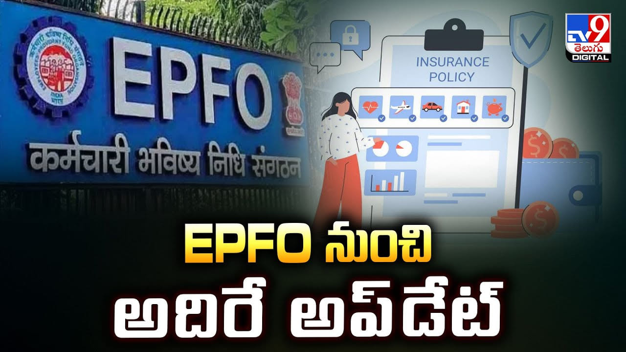 EPFO నుంచి అదిరే అప్డేట్ వీడియో EPFO నుంచి అదిరే అప్డేట్ వీడియో