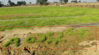 Telangana: లయ తప్పిన శృతిలయ.. ఈ లేడీ బీట్ ఆఫీసర్ పెద్ద మ్యాటరే నడిపింది..