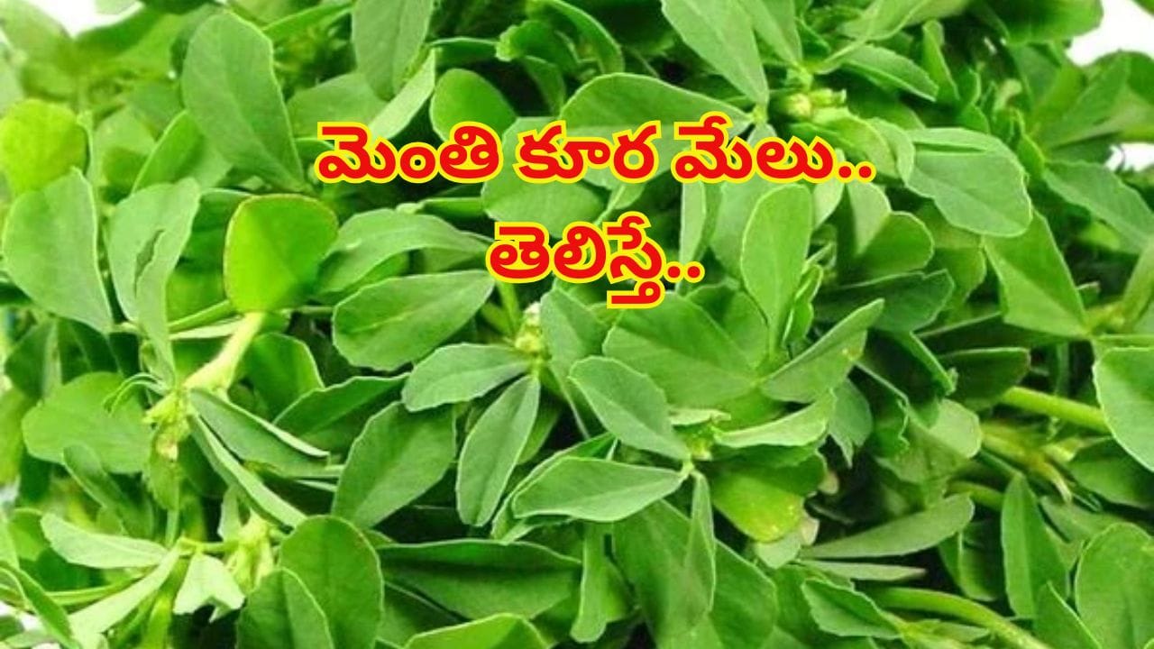 Health Tips: మెంతి ఆకులతో ఈ అనారోగ్య సమస్యలన్నీ పరార్..! వీళ్లు మాత్రం దూరంగా ఉండాలి..?