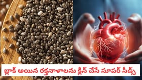 గుండె పదిలం.. కొలెస్ట్రాల్ దూరం! ఈ గింజల గురించి తెలుసా?
