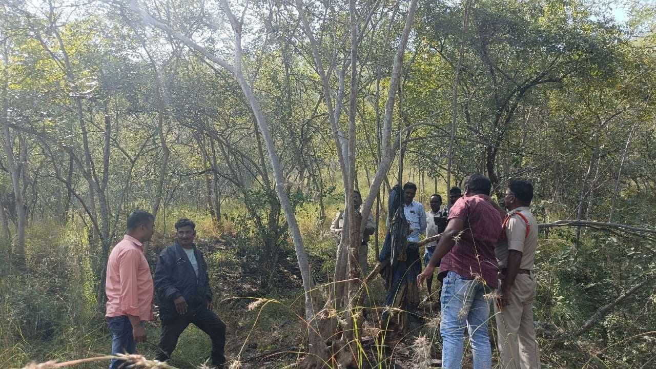 Andhra: పశువులను మేత కోసం అడవిలోనికి తోలుకెళ్లిన కాపర్లు.. అక్కడ కనిపించిన దృశ్యం చూసి..