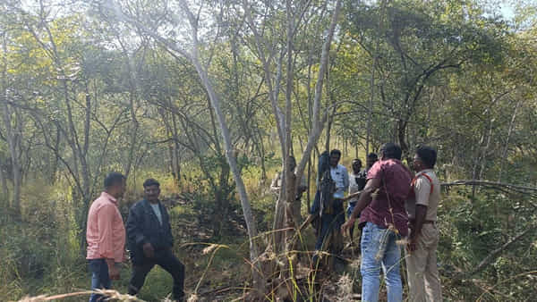 Andhra: పశువులను మేత కోసం అడవిలోనికి తోలుకెళ్లిన కాపర్లు.. అక్కడ కనిపించిన దృశ్యం చూసి..